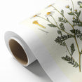 Vintage Botanical Illustration of Chamomile – Botanical Art Prints