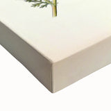 Vintage Botanical Illustration of Chamomile – Botanical Art Prints