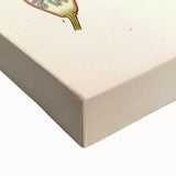 Vintage Botanical Illustration of Pomegranate – Botanical Art Prints