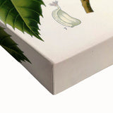 Vintage Botanical Illustration Art – Castanea vesca Wall Art