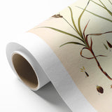 Vintage Botanical Illustration Art – Carex arenaria Wall Art