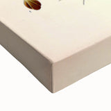 Vintage Botanical Illustration Art – Carex arenaria Wall Art