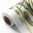 Vintage Botanical Illustration Art – Oryza sativa Wall Art