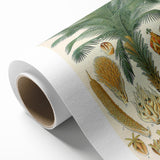 Vintage Botanical Illustration Art – Elaeis guineensis Oil Palm Wall Art