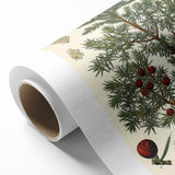 Vintage Botanical Illustration Art – Juniperus oxycedrus Wall Art