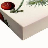 Vintage Botanical Illustration Art – Juniperus oxycedrus Wall Art