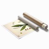 Vintage Botanical Illustration Art – Convallaria majalis Wall Art