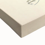 Vintage Botanical Illustration Art – Convallaria majalis Wall Art