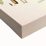 Vintage Botanical Illustration of Schoenocaulon – Botanical Art