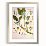 Botanical Art Prints – Vintage Botanical Illustration Art