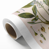 Botanical Art Prints – Vintage Botanical Illustration Art