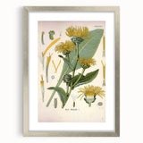 Botanical Art Prints – Vintage Floral Illustration Art