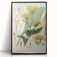 Botanical Art Prints – Vintage Floral Illustration Art