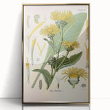 Botanical Art Prints – Vintage Floral Illustration Art