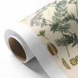 Botanical Art Prints – Vintage Herb Illustration Art