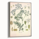 Botanical Art Prints – Vintage Herb Illustration Art