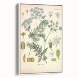 Botanical Art Prints – Vintage Herb Illustration Art