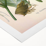 Botanical Art Prints – Vintage Iris Floral Illustration