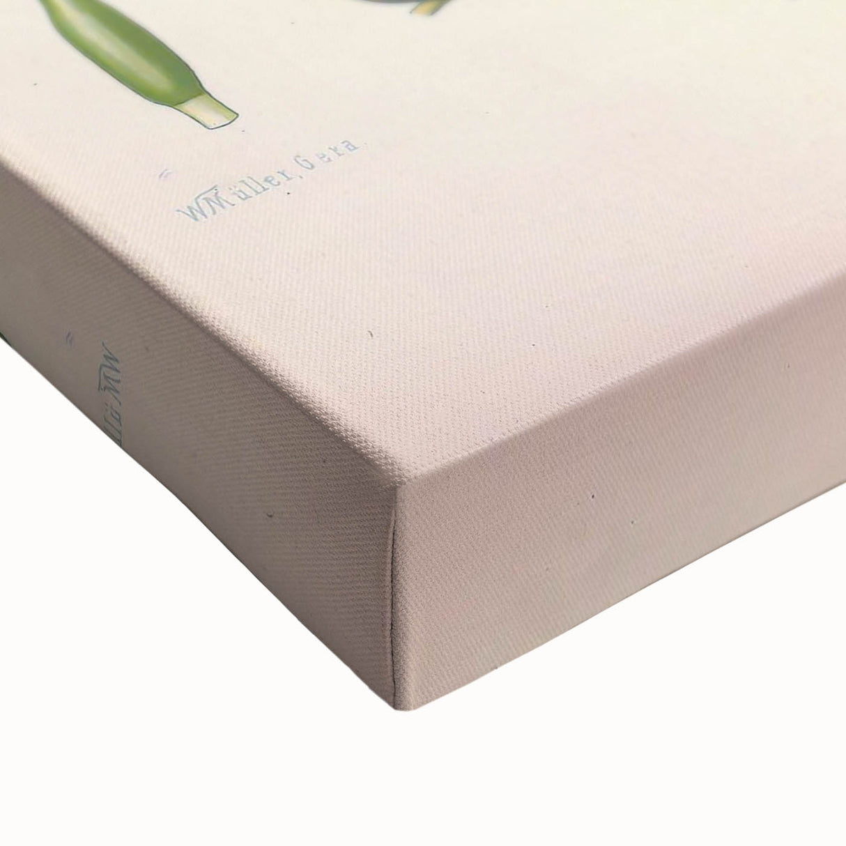 Botanical Art Prints – Vintage Iris Floral Illustration