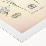 Botanical Art Prints – Vintage Herb Illustration Art