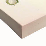 Botanical Art Prints – Vintage Polygala Herb Illustration