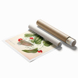 Botanical Art Prints – Vintage Smilax Herb Illustration