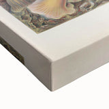 Sea Anemones Art Print – Vintage Haeckel Actinia Illustration