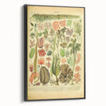 Algae Art Print – Vintage Botanical Algae Illustration