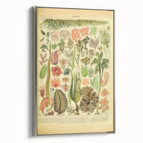 Algae Art Print – Vintage Botanical Algae Illustration