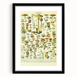 Mushroom Art Print – Vintage Champignons Illustration
