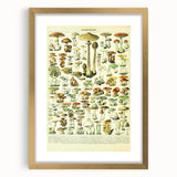 Mushroom Art Print – Vintage Champignons Illustration