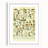 Mushroom Art Print – Vintage Champignons Illustration