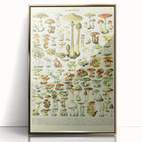 Mushroom Art Print – Vintage Champignons Illustration
