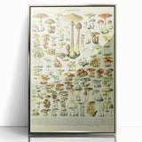 Mushroom Art Print – Vintage Champignons Illustration