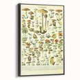 Mushroom Art Print – Vintage Champignons Illustration
