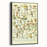 Mushroom Art Print – Vintage Champignons Illustration