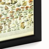 Mushroom Art Print – Vintage Champignons Illustration