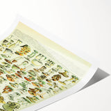 Mushroom Art Print – Vintage Champignons Illustration