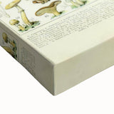 Mushroom Art Print – Vintage Champignons Illustration