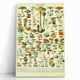 Mushroom Art Print – Vintage Champignons Illustration