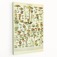 Mushroom Art Print – Vintage Champignons Illustration
