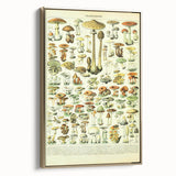 Mushroom Art Print – Vintage Champignons Illustration