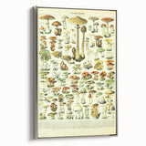 Mushroom Art Print – Vintage Champignons Illustration