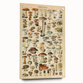 Mushroom Art Print – Vintage Champignons Illustration