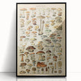 Mushroom Art Print – Vintage Champignons Illustration