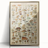 Mushroom Art Print – Vintage Champignons Illustration