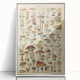 Mushroom Art Print – Vintage Champignons Illustration