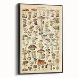 Mushroom Art Print – Vintage Champignons Illustration