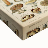 Mushroom Art Print – Vintage Champignons Illustration