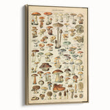 Mushroom Art Print – Vintage Champignons Illustration